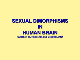 SEXUAL DIMORPHISMS IN HUMAN BRAIN (Swaab et al