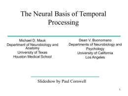 The Neural Basis of Temporal Processing