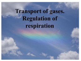 33 Transport of gases. Regulation of respiration