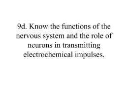 9d. Know the functions of the nervous system and the role of