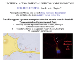 LECTURE.6.ActPotential