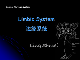 LIMBIC SYSTEM