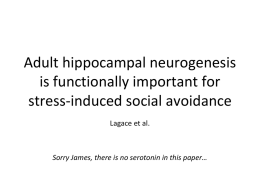 Adult hippocampal neurogenesis is functionally important for stress