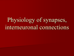 02 Physiology of synapses, interneuronal connections