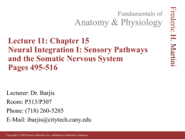 Lecture 11: Chapter 15 Neural Integration I: Sensory