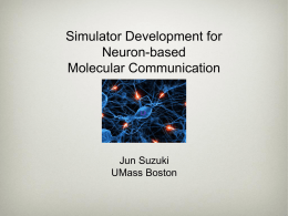 Prof. Suzuki slides "Simulator Development for Neuron