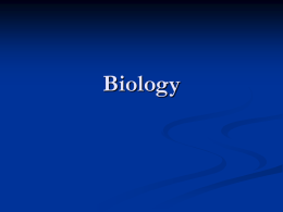 Biology The Nervous System