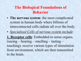 1. Receptor cells