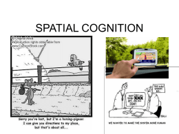 spatial cognition - UCSD Cognitive Science
