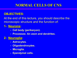 01Integrated Normal Cells of CNS