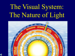 The Visual System: The Nature of Light