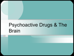 Psychoactive Drugs & The Brain - NSCC NetID: Personal Web Space