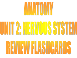 review flashcards