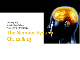The Nervous System Ch. 12 & 13