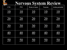 Nervous System Review CNS PNS Terms to know Neurons Action