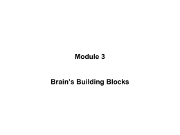 Module_3vs9_Final - Doral Academy Preparatory