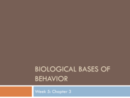 chapter 3 biological bases of behavior