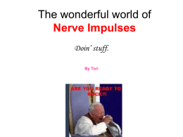 The Wonderful World of Nerve Impulses