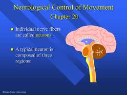 Neurological Control of Movement. Chapter 3.