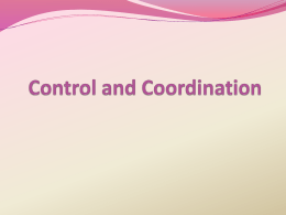 Control and Coordination(converted)