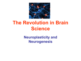 The Revolution in Brain Science