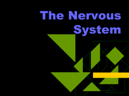 The Nervous System - Practicum-Health-II-2011-2012