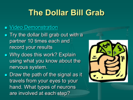 The Dollar Bill Grab