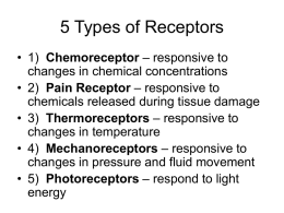 Types of Receptors