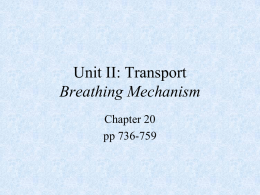 Transport Breathing Mechanism