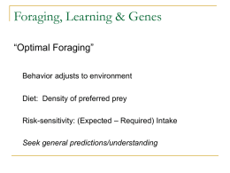 Foraging, Learning & Genes