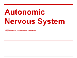 Autonomic Nervous System Period 5 Jacquelene Hanein, Karina