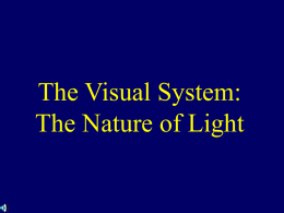 The Visual System: The Nature of Light