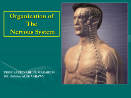 THE NERVOUS SYSTEM I