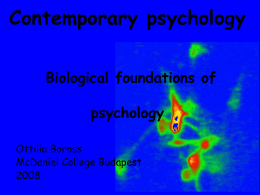 Contemporary psychology Biological foundations of psychology