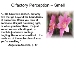 PY262.13.Chemical.olfaction