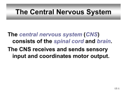 nervous_system_-_cns_and_pns_part_2_-_2015