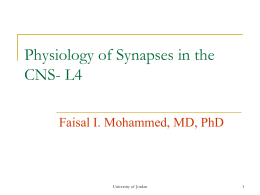 Synapse physiology-CNs-L4-students - Post-it