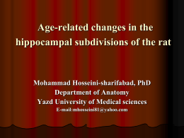 Age-related changes in the hippocampal subdivisions of the rat
