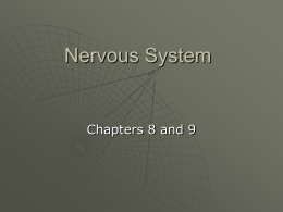 nervous_system_intro1