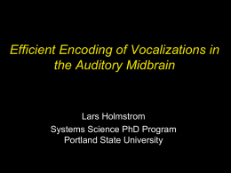 Modeling Auditory Neurons