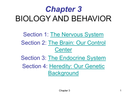 CHAPTER 3 BIOLOGY AND BEHAVIOR