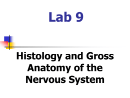 Laboratory 9