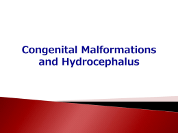 Congenital Malformation & Hydrocephalus