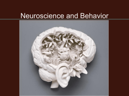 Neuroscience - Warren Wilson Inside Page