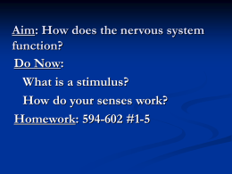Aim: How does the nervous system function? Do Now