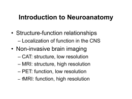 Introduction to Neuroanatomy