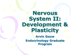 Nervous System II: Development & Plasticity