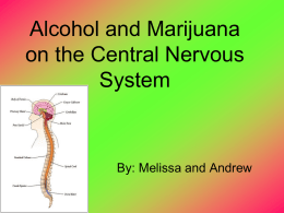 Alcohol on the nervous system