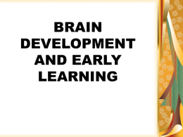 brain and early learning