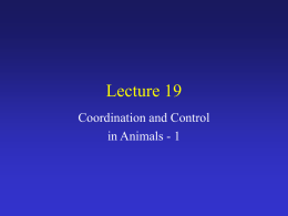 Lecture #19 - Suraj @ LUMS